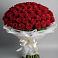 Букет 101 Красная роза Блэк Мэджик в Бургуне-Маджаре