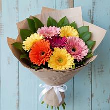 Букет цветов из:  Герберы в Бургуне-Маджаре