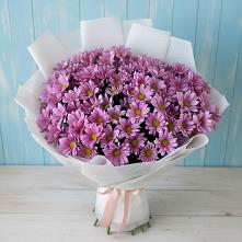 Букет цветов из:  Хризантемы в Бургуне-Маджаре