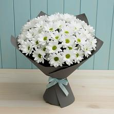 Букет цветов из:  Хризантемы в Бургуне-Маджаре