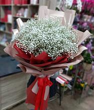 Букет цветов из:  Гипсофила #REPLACE_PRED# Бургуне-Маджаре