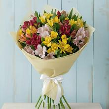 Букет цветов из:  Альстромерии в Бургуне-Маджаре