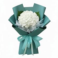 Букет цветов из:  Гортензия в Бургуне-Маджаре